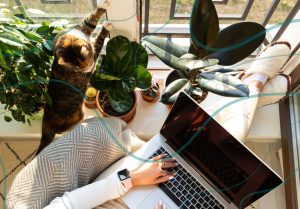 Digital marketing guide - is it worth for businesses in 2025